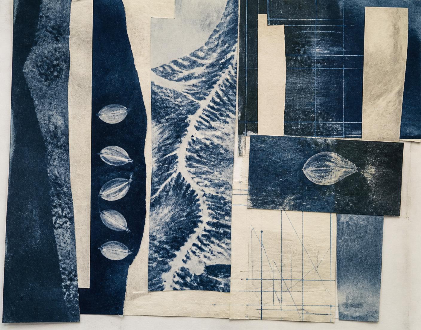 Igarapé Cyanotype, 2024